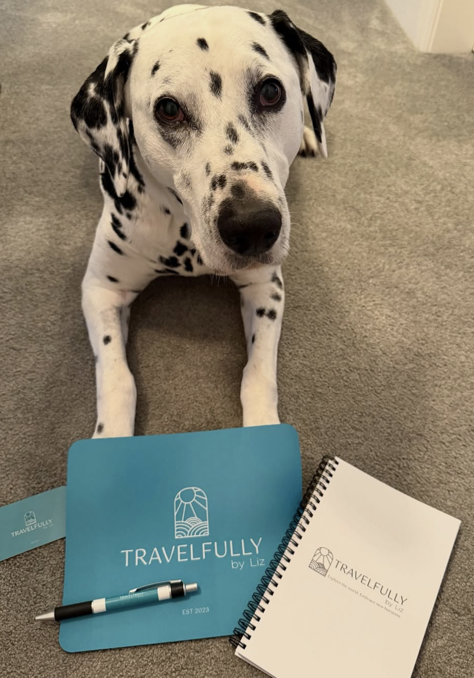 Custom branded merchandise for Travelfully.